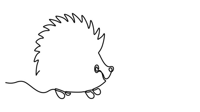 Animated self drawing of Cute hedgehog drawing made with one continuous black line. Full length one line animation. 4K video