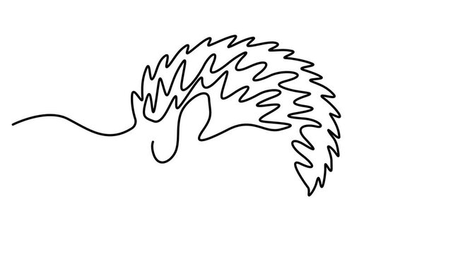 Animated self drawing of Continuous single line drawing of a cute hedgehog Full length one line animation. 4K video