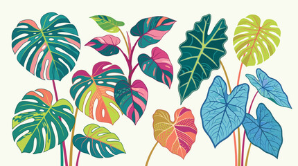 Fototapeta premium Exotic botanical leaves composition