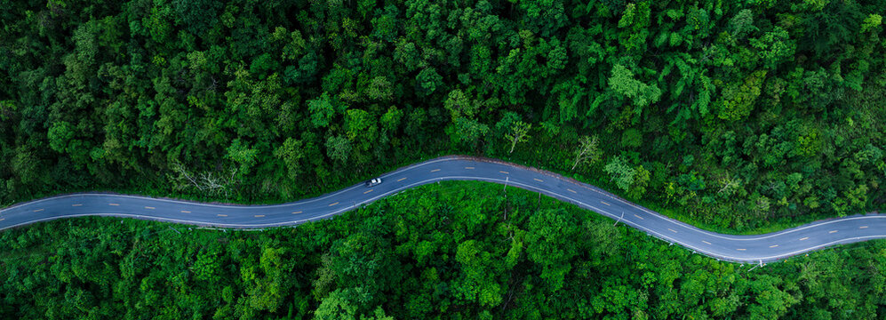 Forest highway background designed for commercial use, supporting themes of energy transition, carbon reduction, and corporate sustainability initiatives.