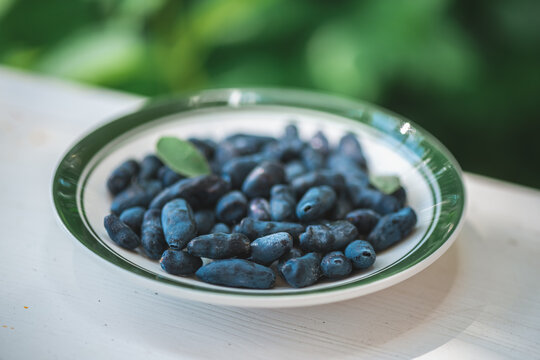 Haskap berries, also known as honeyberries or blue honeysuckle, filling a white plate with a green rim, showcasing their oblong shape and deep blue color, with fresh green leaves