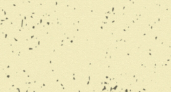 Microscopic view of small scattered particles on light background