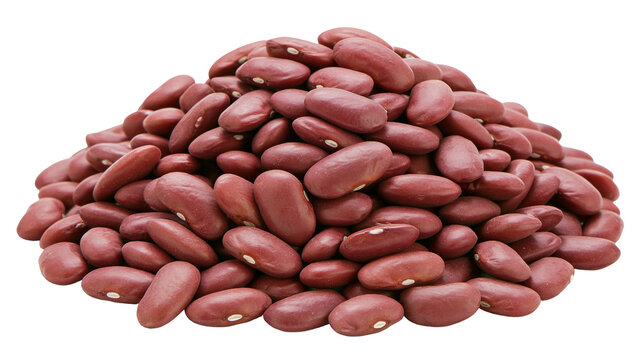 Pile of red kidney beans with white hilum