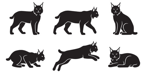 Lynx Vector Set Different Poses © maxsabbir07
