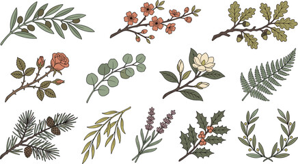 Botanical Branch and Floral Vector Set with Hand Drawn Leaves, Wildflowers, and Vintage Nature Elements © Anowara