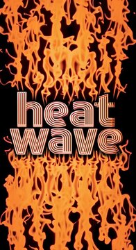Heat wave type in a 70's disco font with flames roaring, 3d screen title animation for hot summer weather, orange on black looping graphic,, neon inline vintage typography