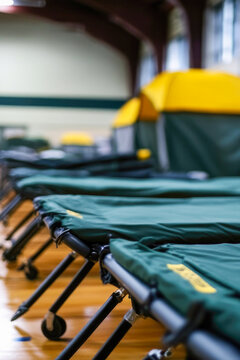 A row of green beds sits atop a hardwood floor, perfect for interior design or bedroom decor inspiration. vertical frame