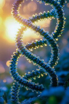 A microscopic view of a DNA molecule on the surface of a plant cell. vertical frame