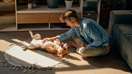 Young man giving belly rub to happy beagle dog at home in warm sunlight. Concept of pet happiness, animal welfare, companionship, dog care, and relaxed lifestyle. © Lustre Art Group 