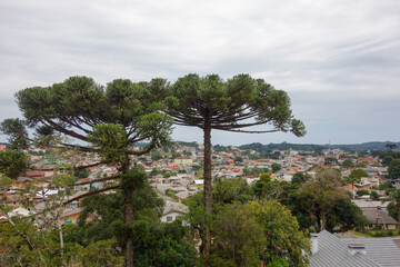 Fototapeta premium Panoramic view of residences in the city of Canela, RS, Brazil. Cityscape