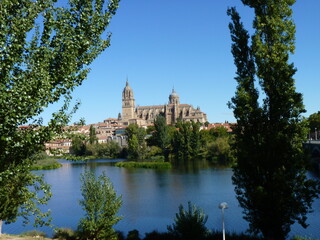 Obraz premium The cathedral, Salamanca, Spain