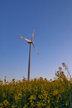 Wind turbines at sunset in green field &ndash; renewable energy, clean power, sustainable future.
