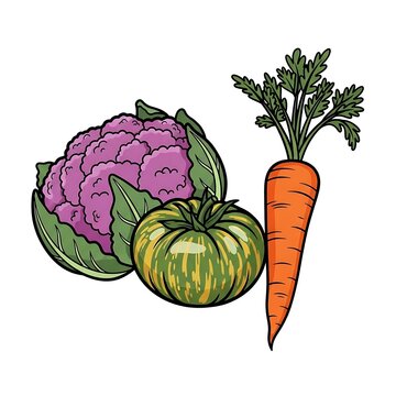 Colorful cabbage and broccoli with carrot on white background.