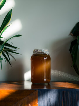 Kombucha fermenting near green plants 
