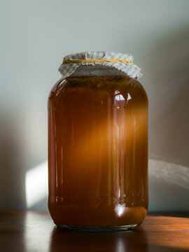 Kombucha fermentation process in sunlight 