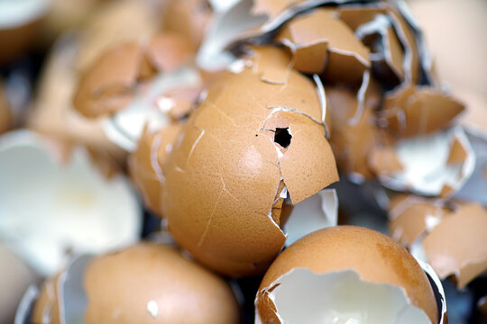 Close-up of broken brown eggshells in a pile, natural food waste and recycling concept, macro texture background with shallow depth of field.