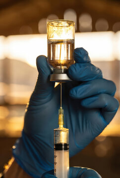 Man veterinarian preparing vaccine for injection. Hand of doctor filling syringe with medication. Animal health and disease prevention.