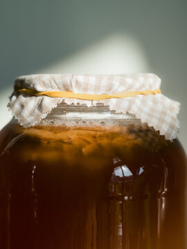 Kombucha fermentation 