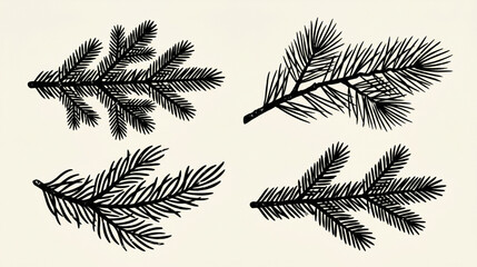 Hand Drawn Botanical Collection Featuring Various Evergreen Pine and Spruce Conifer Branches in Vintage Black Ink Illustration Style © Rishi