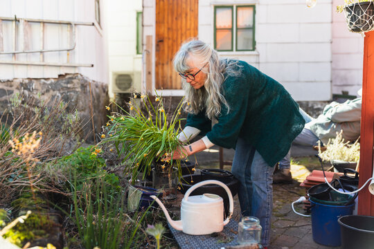 Senior Woman Repotting Plants in Backyard