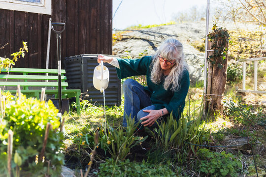Mature Woman Watering Plants in Sunny Garden