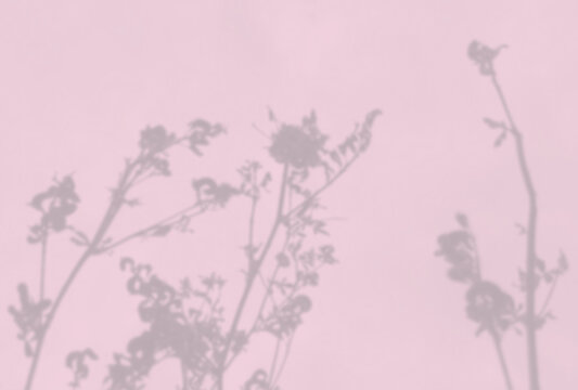 Natural light casts shadows from the field grass on a pink sheet of paper. Mockup