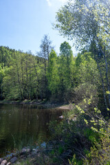 Obraz premium Small lake with green trees and blue sky