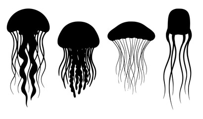 Jellyfish Silhouette Vector Set with Various Species and Long Tentacles for Marine Biology Ocean Wildlife and Deep Sea Aquatic Graphic Designs © Hosneara