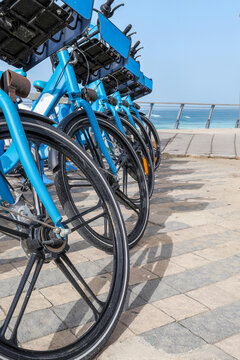 Eco Friendly Bikes Lined up Near the Beach at Bright Sunny Day