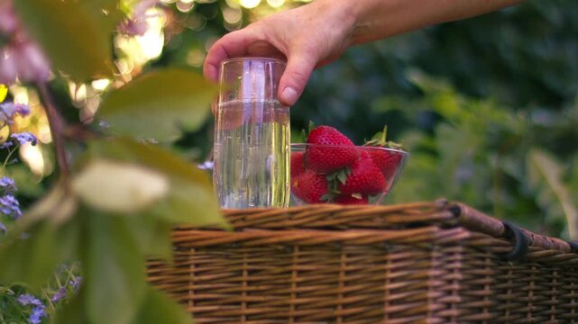 Woman with strawberries and sparkling wine with vintage picnic basket view of summer flowers