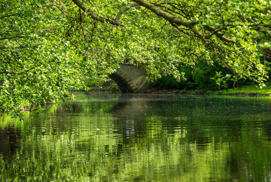 The Augustenbrucke, a historic stone arch bridge, spans a tranquil pond in Georgengarten, Hanover, Lower Saxony, Germany, with lush greenery