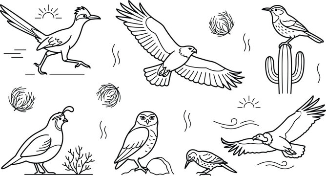 Desert Birds Line Art Vector Set with Cactus Eagle Owl and Roadrunner Icons