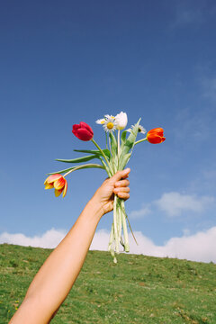 Hand holds colorful flowers against clear sky