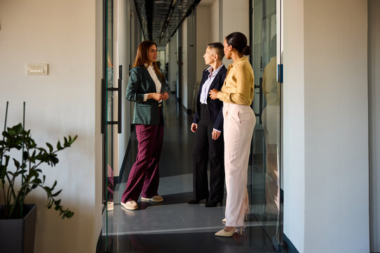 Women in business conversing in the office corridor
