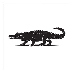 Fototapeta premium Black and white of a walking alligator silhouette isolated on a white background, for wildlife and, nature projects