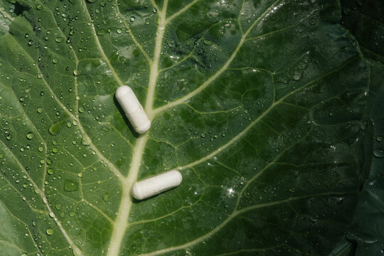 White Pills on Green Vegetable Leaf