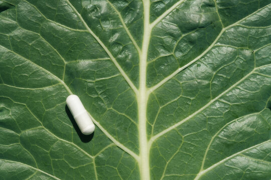 White Supplement Pill on Green Leaf