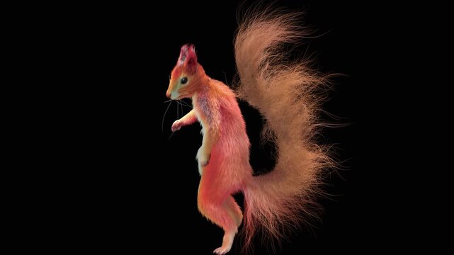 Realistic dancing squirrel performing rumba dance animation with alpha channel transparent background
