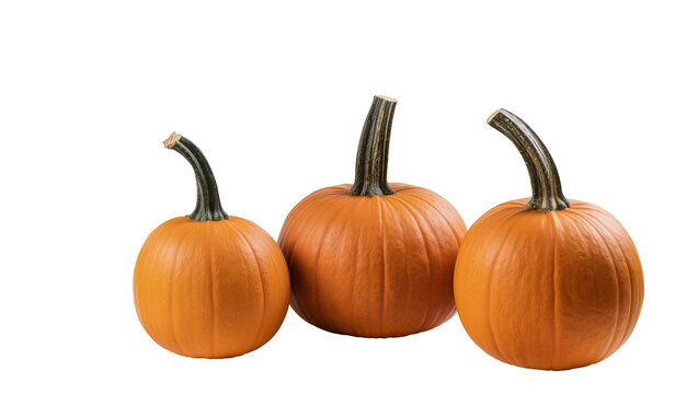 Three orange pumpkins with green stems