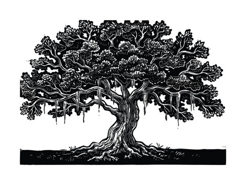 Live oak tree silhouette with Spanish moss, vector botanical illustration for southern landscape, garden design, nature study artwork.