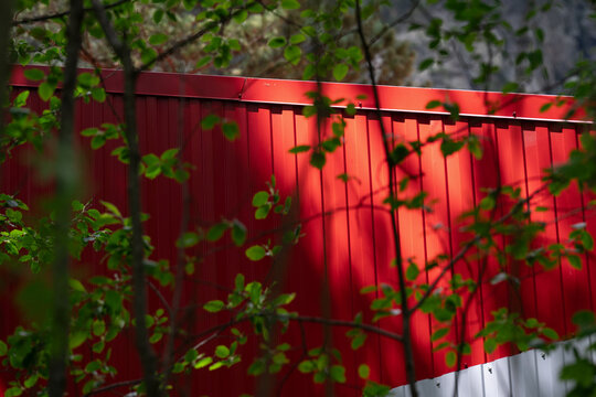 Abstract background featuring detailed texture of a bright red corrugated metal wall with beautiful shadows of tree leaves . Vivid red metal fence surface with organic botanical leaf shadows