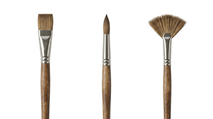 Fototapeta premium Three types of professional artist paintbrushes on transparent background