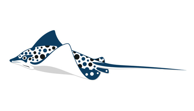 Beautiful spotted eagle ray swimming gracefully in a minimalist vector graphic illustration on a clean white background.
