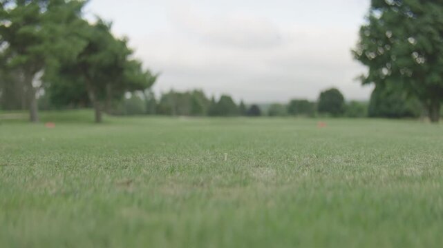 Golfer striking a teed up black golf ball with a driver on a scenic golf course, powerful swing captured at impact, dynamic sports action, manicured fairway, outdoor recreation, natural light
