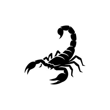 Scorpion silhouette icon black graphic design element with vector art, scorpion