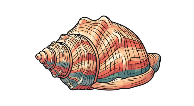 sea shell on white background