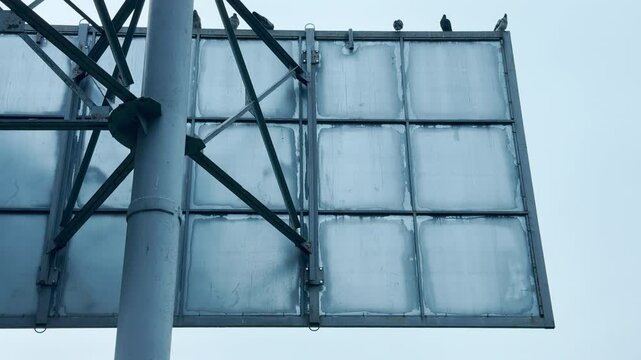 Several pigeons sit spaced apart on the upper edge of an industrial sign frame. The gridded metal back panel rises up against a plain, light blue sky.