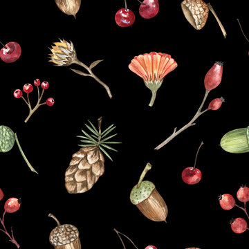 Autumn botanical seamless pattern on black background. Watercolor hand-drawn pinecones, acorns, berries, and calendula flowers. For wrapping paper, garden textile, scrapbooking