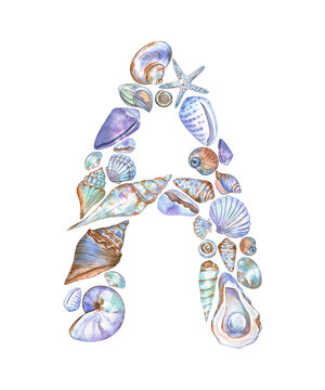 Letter A made of watercolor seashells, oysters, and starfish isolated on transparent. Elegant and detailed hand-drawn design. For stickers, products customization, scrapbooking, cards, and more
