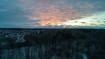 Obraz premium A beautiful high-angle drone photograph capturing a flock of Canadian geese in flight over a dark winter forest and a snowy suburban neighborhood under a vibrant pink and orange sunset sky.